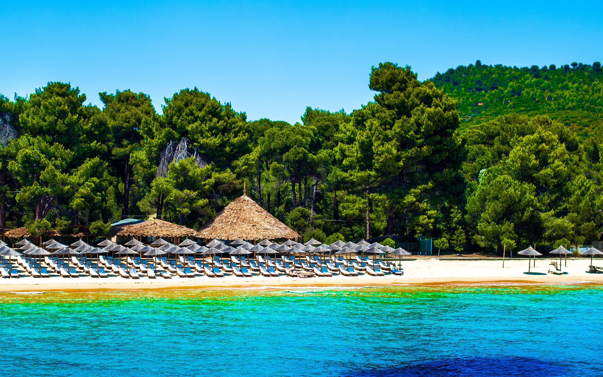 🇬🇷☀️ Skiathos:Ishulli i Gjelbër dhe Plazheve Magjike! 🏖️🌊🌿