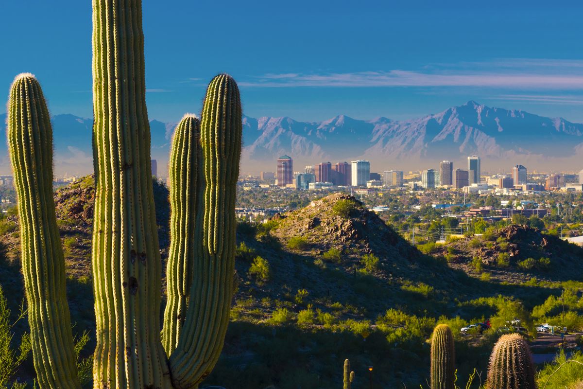 Top 7 Hotels For Your Next Trip To Phoenix, Arizona