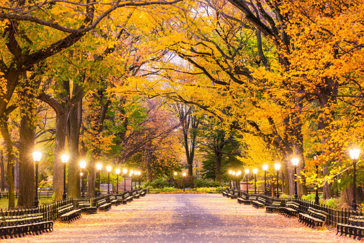 These Are The Top 5 U.S. Cities To Visit This Fall