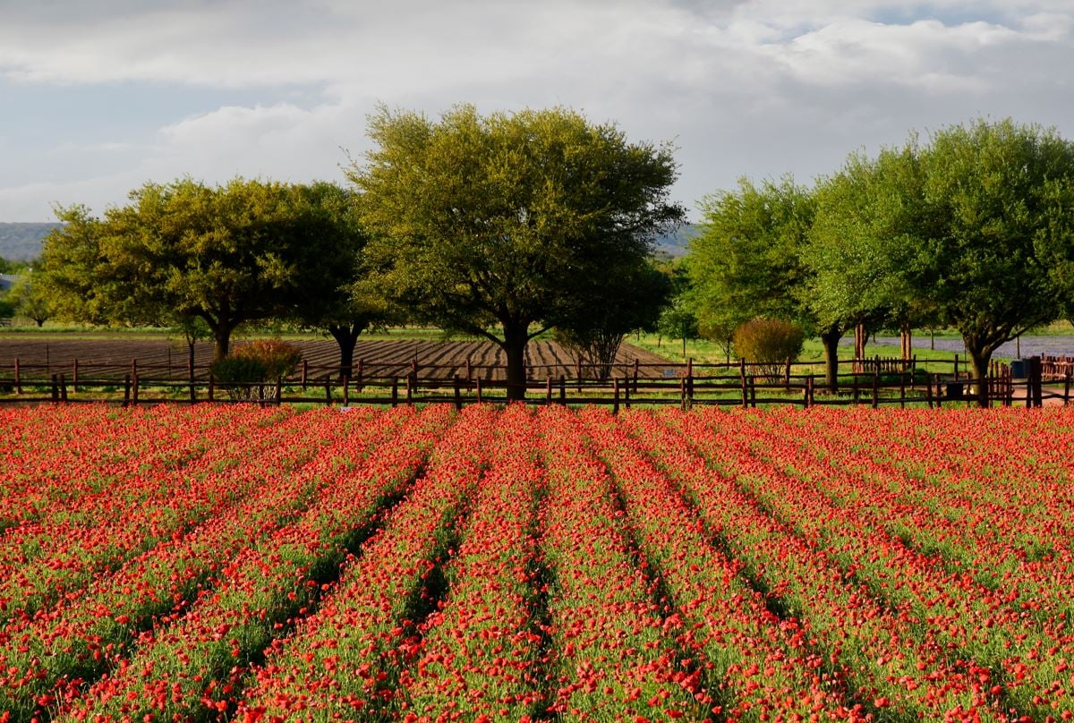 Top 10 Unique Small Towns To Visit In The Southern U.S. This Fall