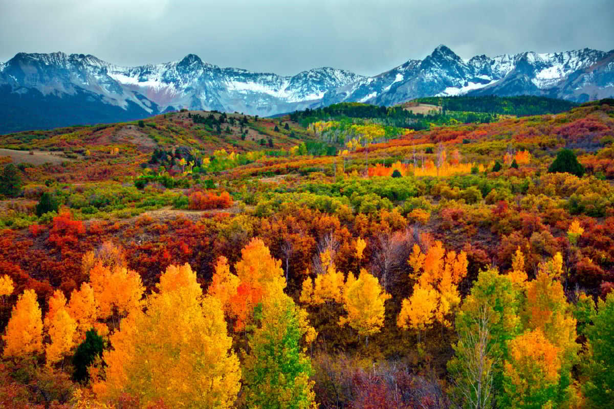 4 Reasons You Should Visit This Gorgeous U.S. State This Fall
