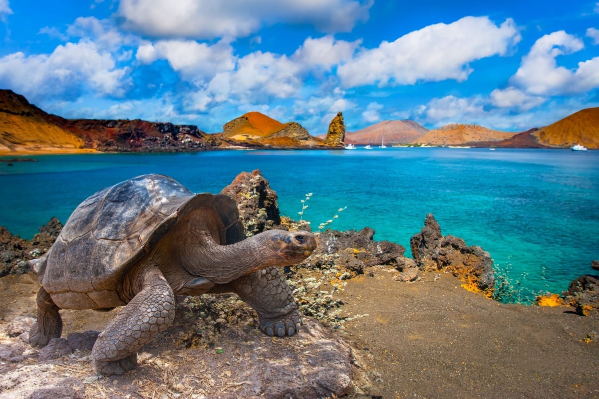 The Galapagos Islands Will Raise Its Entrance Fee Dramatically For The First Time In 25 Years
