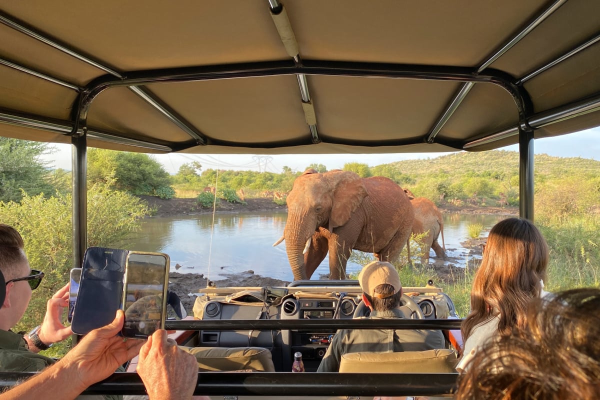 Americans Will Now Need An Entry Permit To Visit This Popular Safari Country